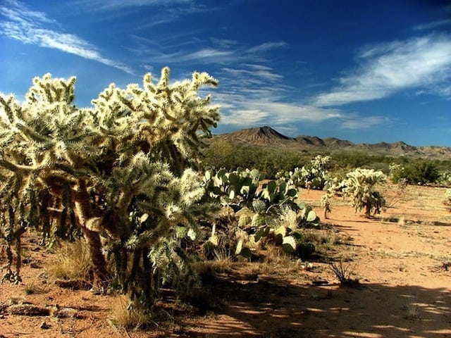 Tortolita Mountains