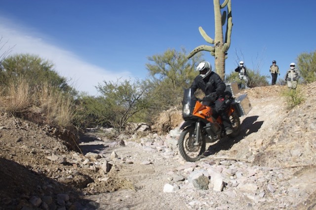 KTM_Desert