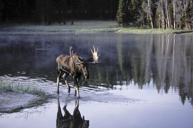 Destinations: Haines, Alaska - Expedition Portal