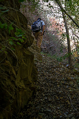 The Hike