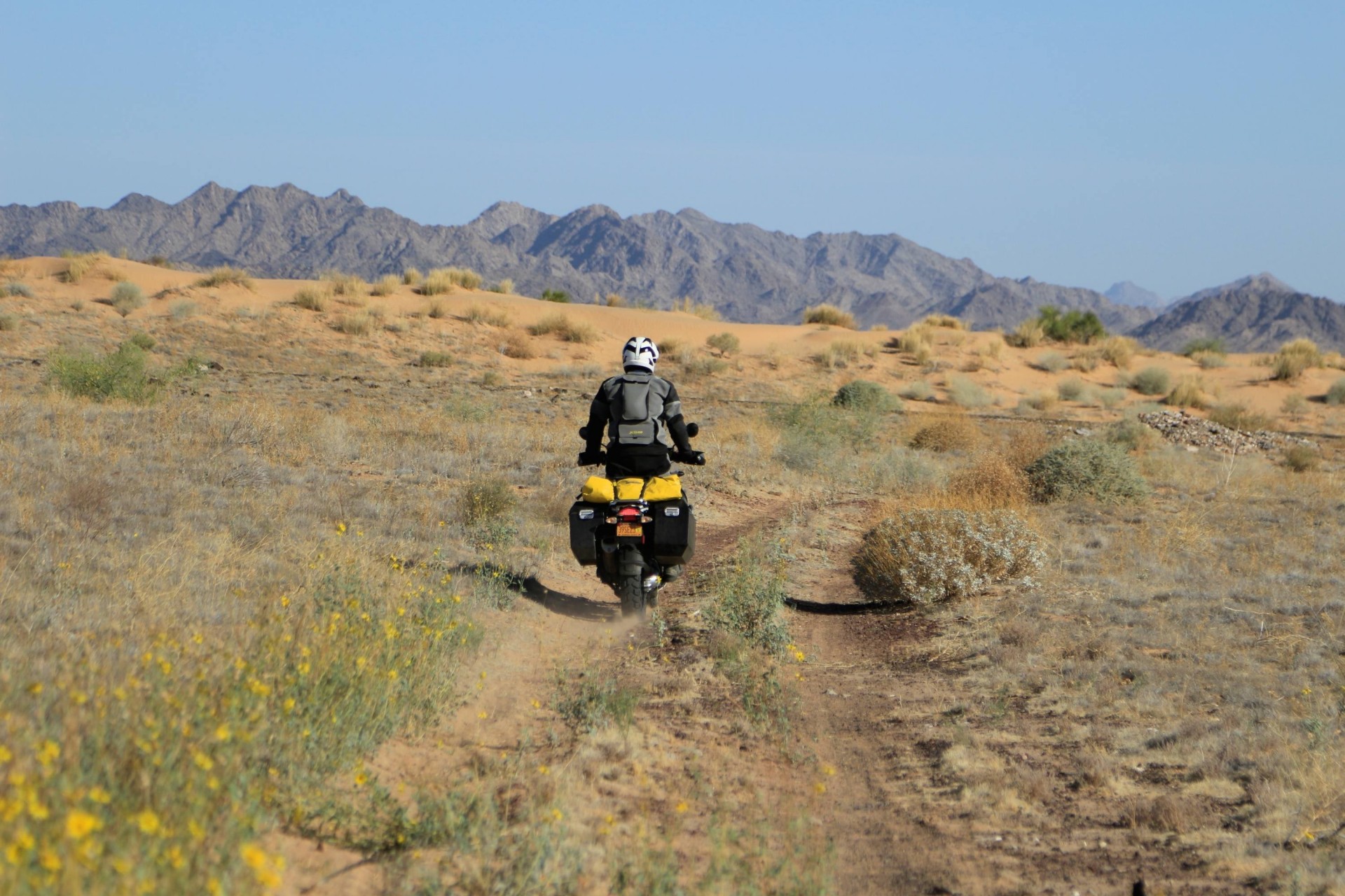 The Expedition Portal Team Explores Baja Expedition Portal