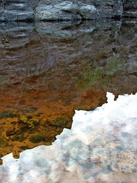 Tank Reflection