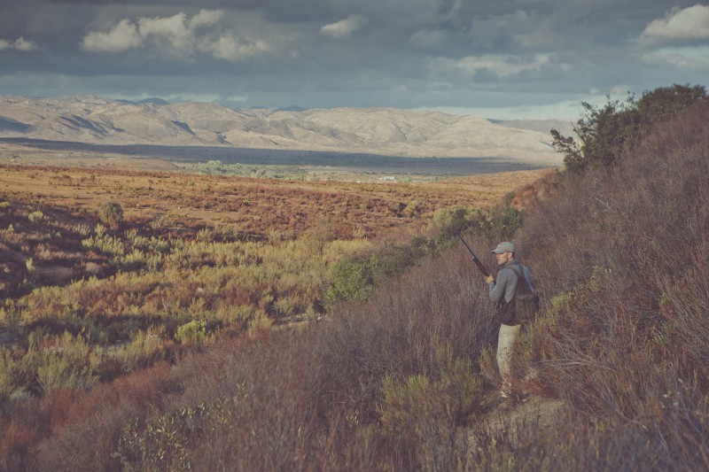 A Northern Baja Quail Hunt Expedition Portal