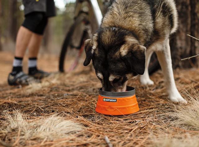 k9overland_bivy