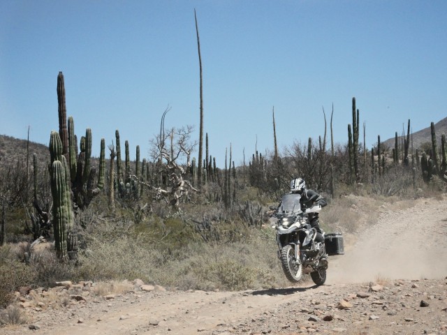 Baja_Moto10