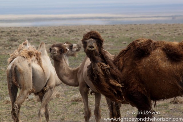 Mongolia