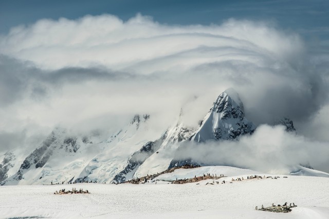 Stepping into the surrealism that is Antarctica