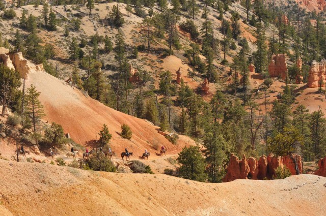 B2-Horse riders enter Bryce Canyon