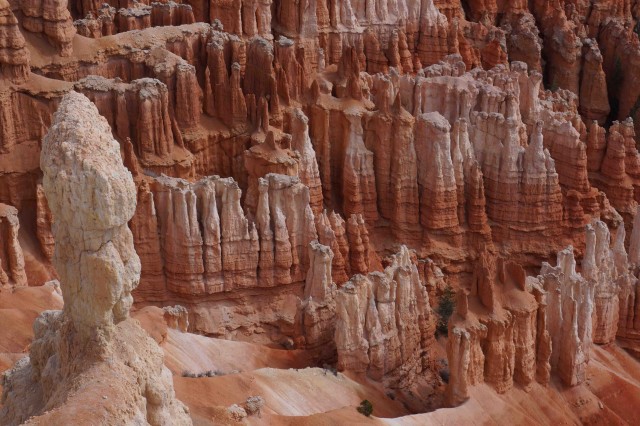 B3-The tortured landscape of Bryce canyon is made up of thousands of Hoodoos, or eroded rock towers