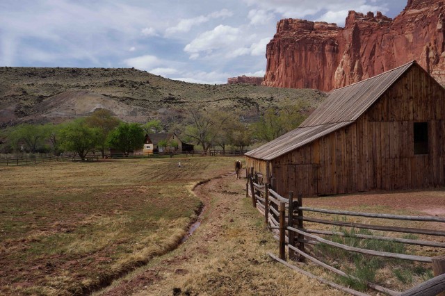 CR1-The old Fruita homestead is a major attraction in Capitol Reef NP