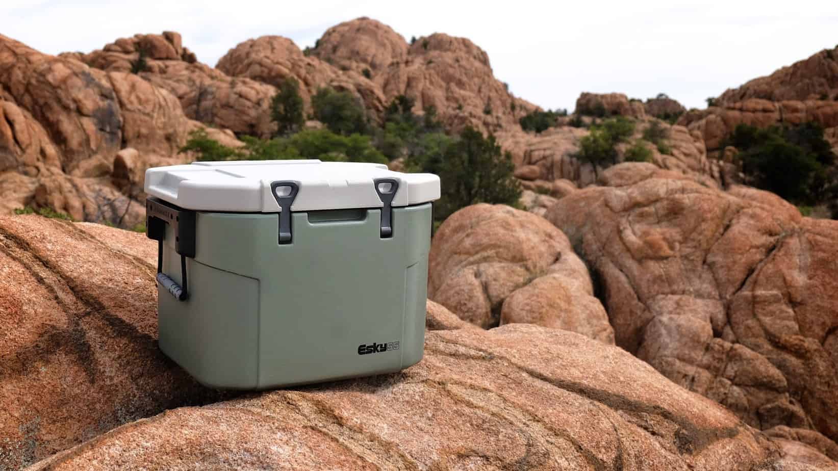 Field Tested Esky 55 Cooler Expedition Portal