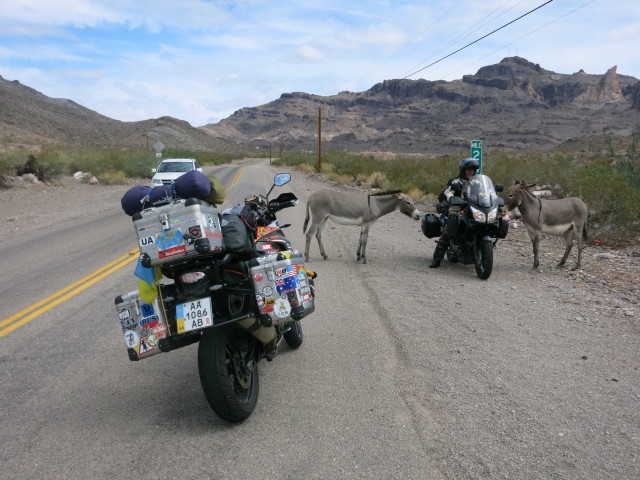 Oatman-2