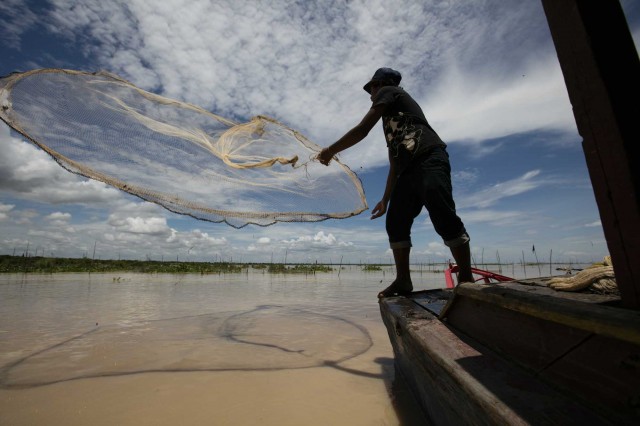 2015 Collard -  Cambodia 006