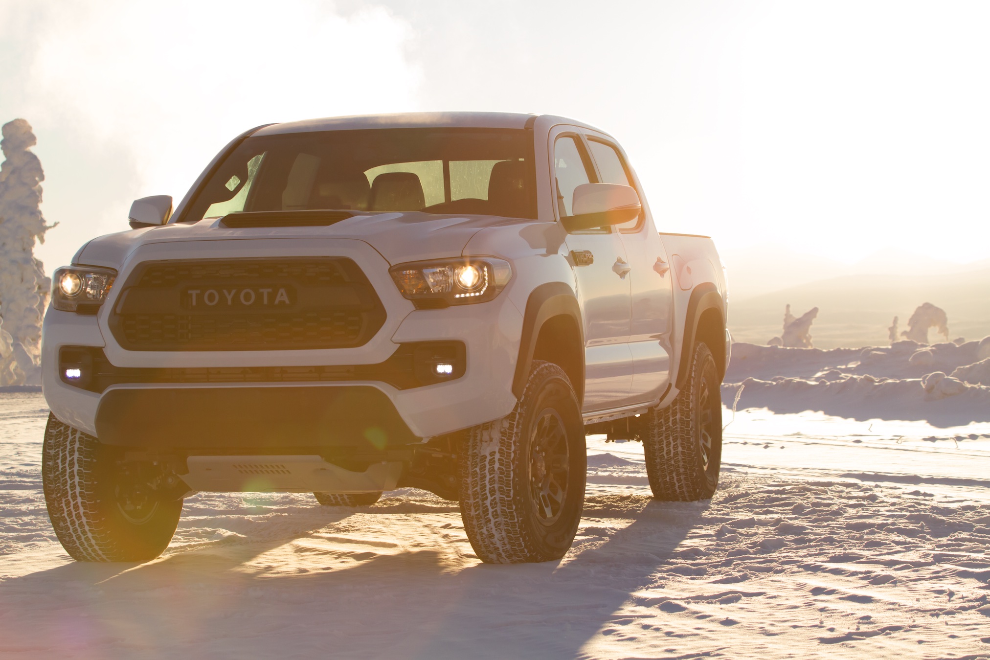 SX_ARCTIC_TRD_PRO_TACOMA0003