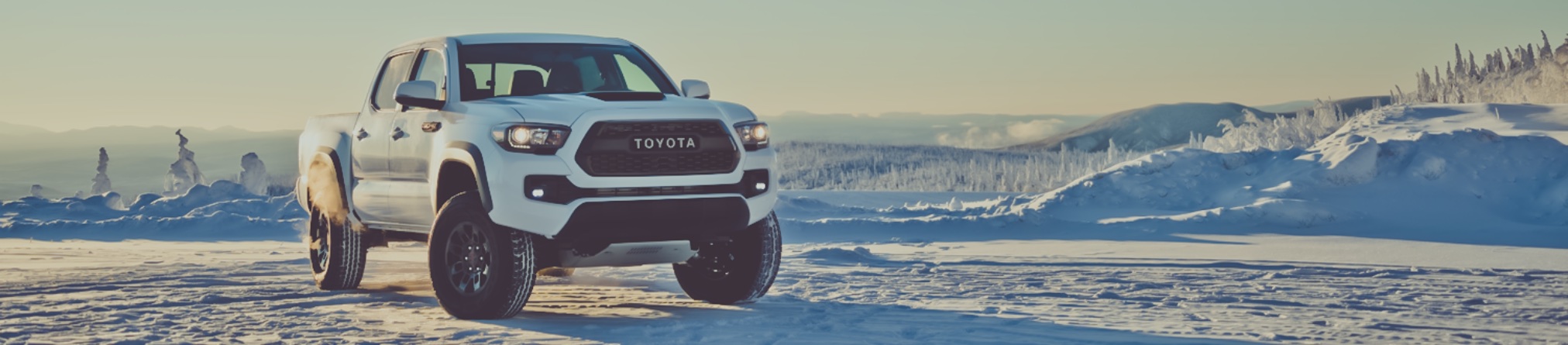 SX_ARCTIC_TRD_PRO_TACOMA0012