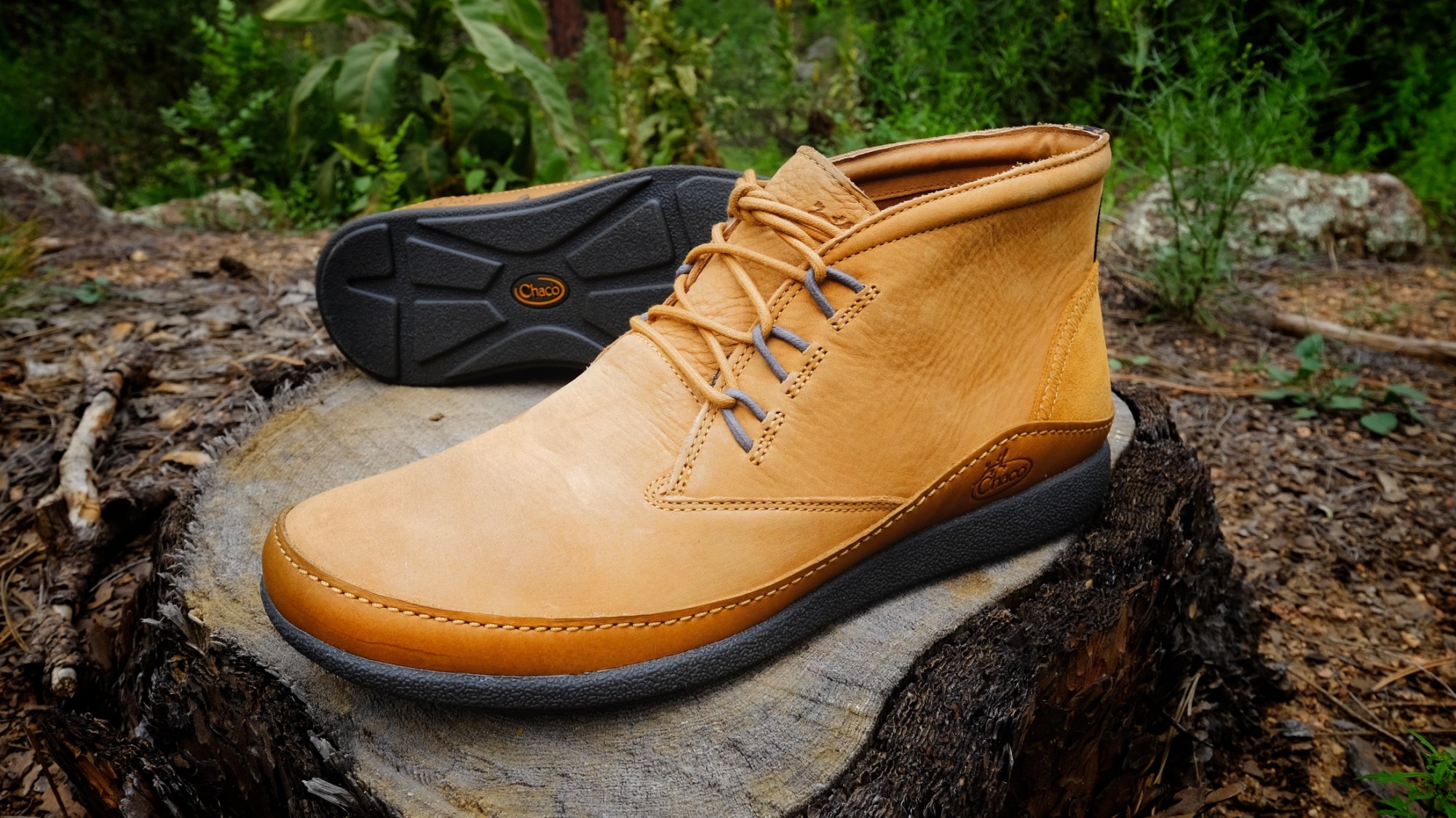 Montrose chukka on sale