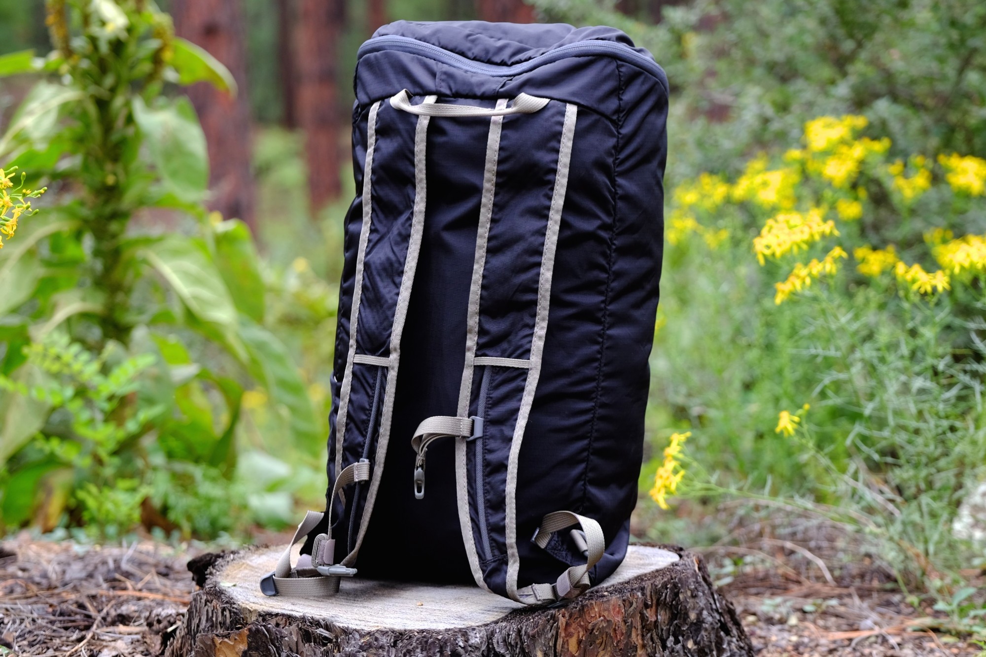 Miir 25l outlet commuter