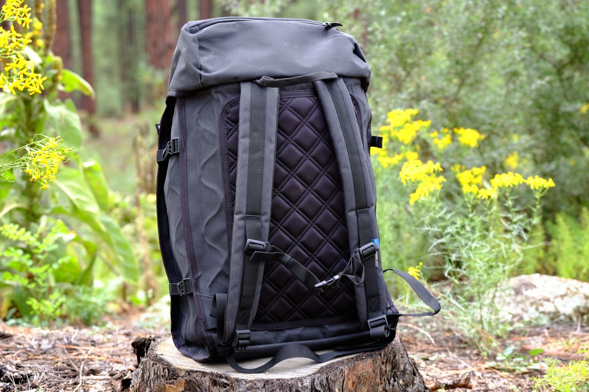 Field Tested: Sea To Summit Carve 24L Waterproof Backpack - Expedition  Portal