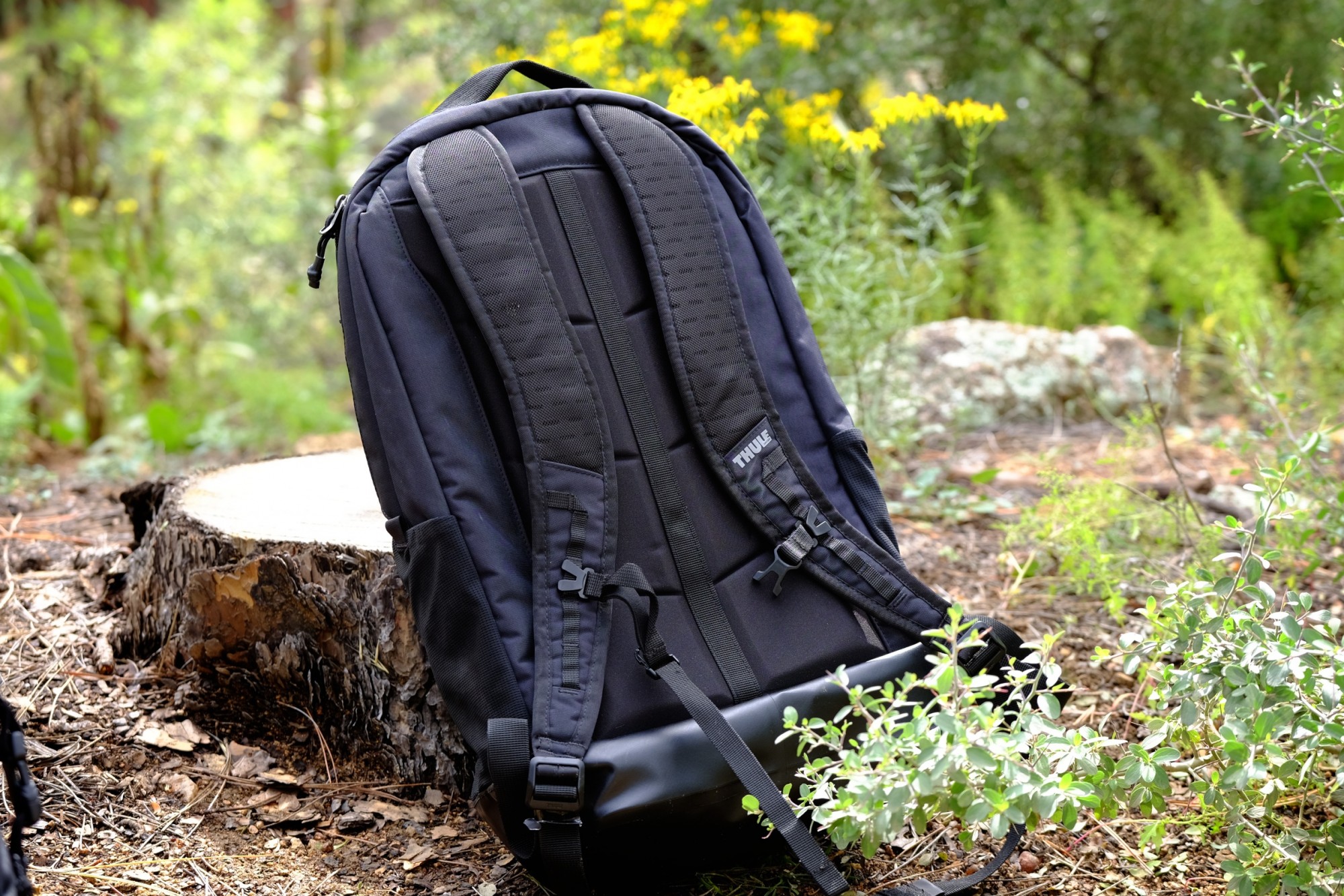 Field Tested: Sea To Summit Carve 24L Waterproof Backpack - Expedition  Portal