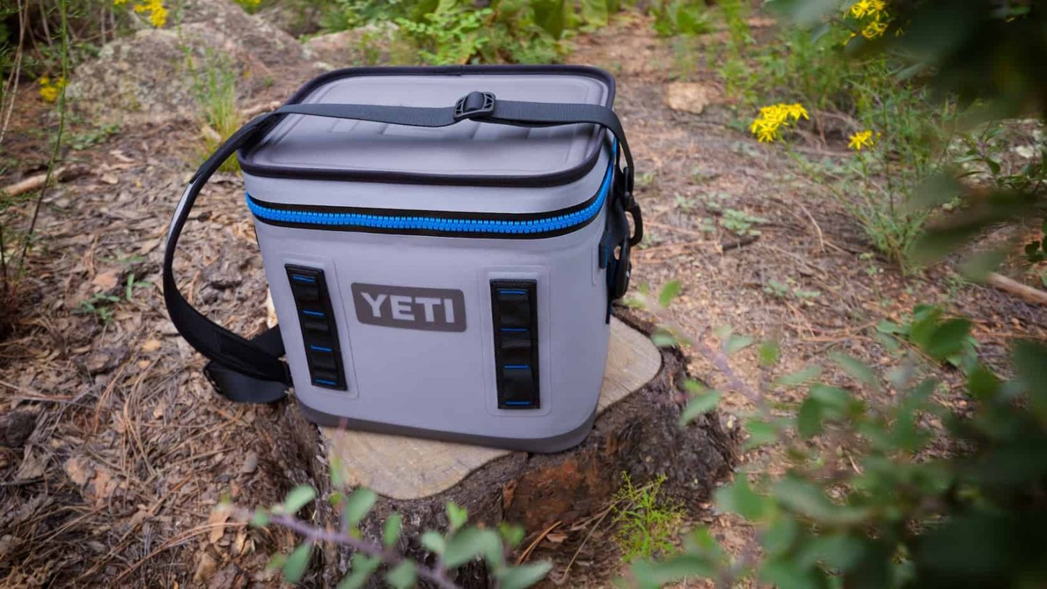 Field Tested: Yeti's Brand New Hopper Flip 12 - Expedition Portal