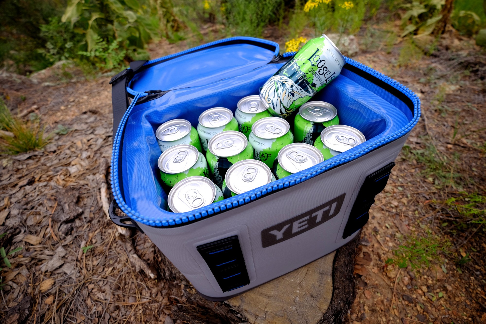 Yeti flip 12 hot sale cooler