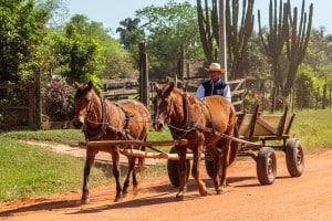 mennonites landcruising friesland mennonite