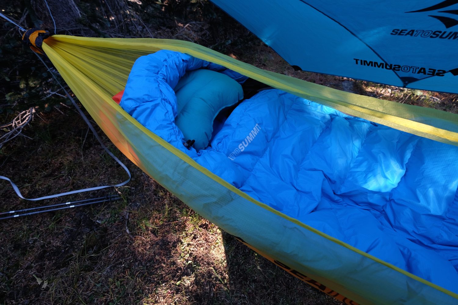 Head to Head Hammock vs. Tent Expedition Portal