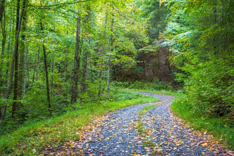 Michigan Opens 6,300 Miles of Forest Roads - Expedition Portal