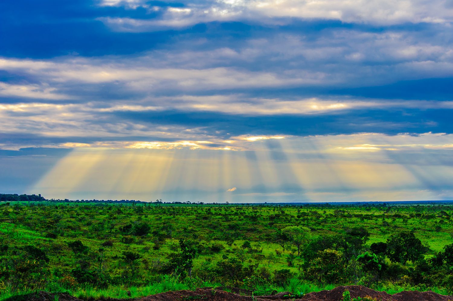 The Beauty Of The Rupununi Savannah - Expedition Portal