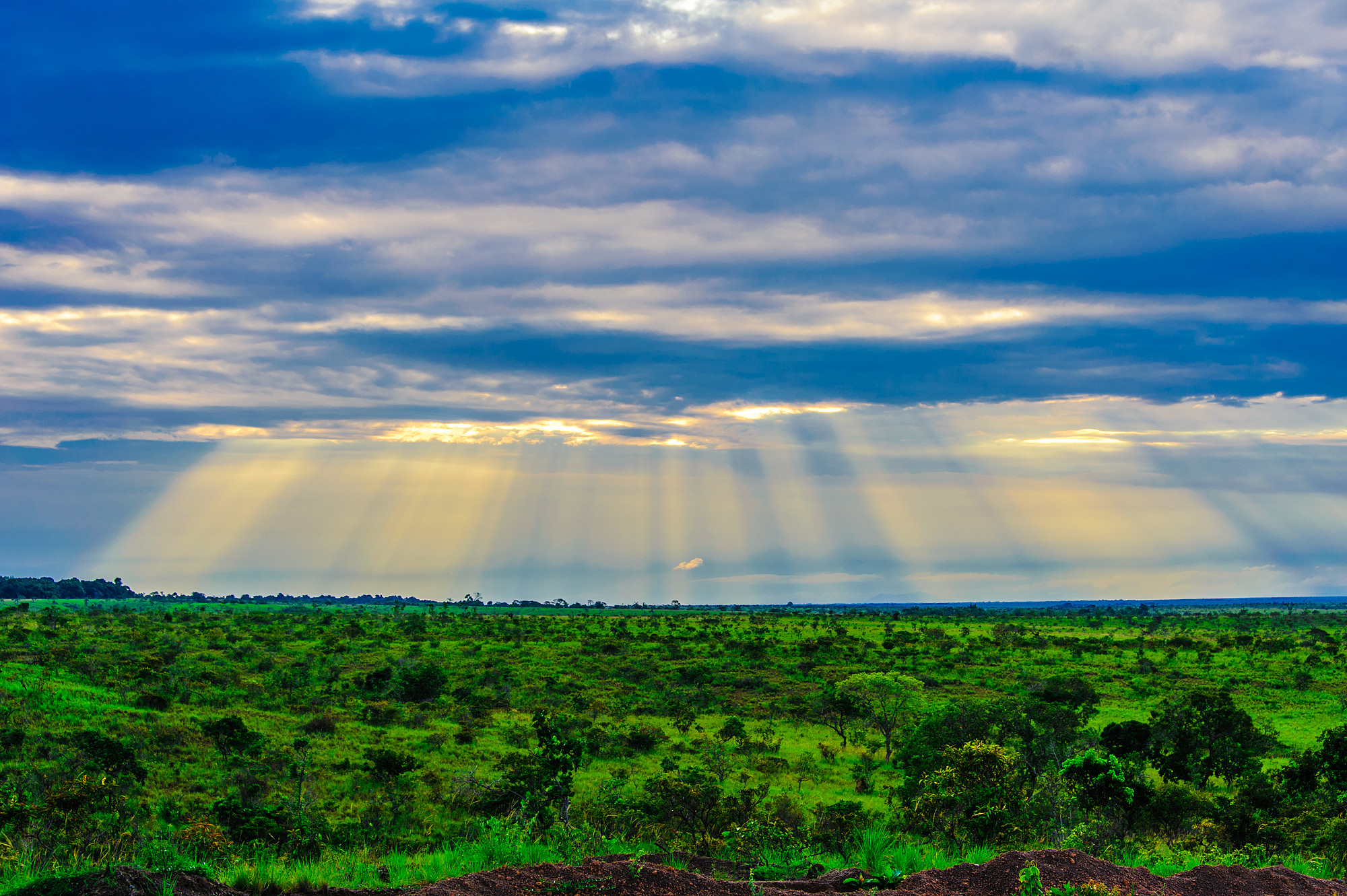 The Beauty of the Rupununi Savannah - Expedition Portal