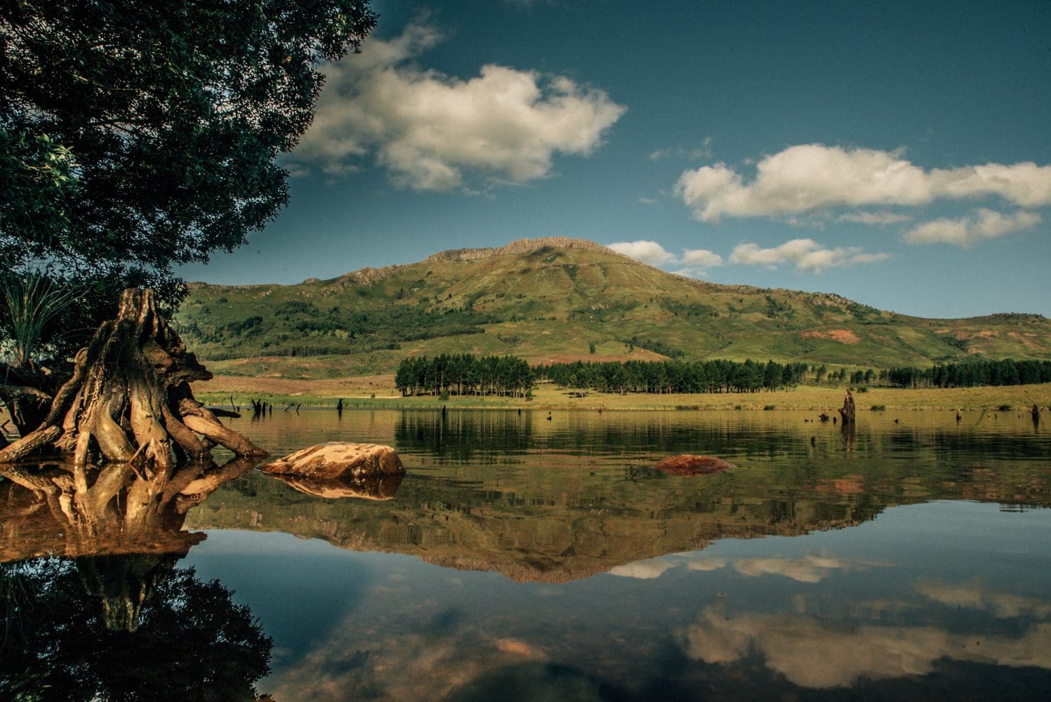 Hogsback Camp Adventures with Abby to Hogsback - Expedition Portal
