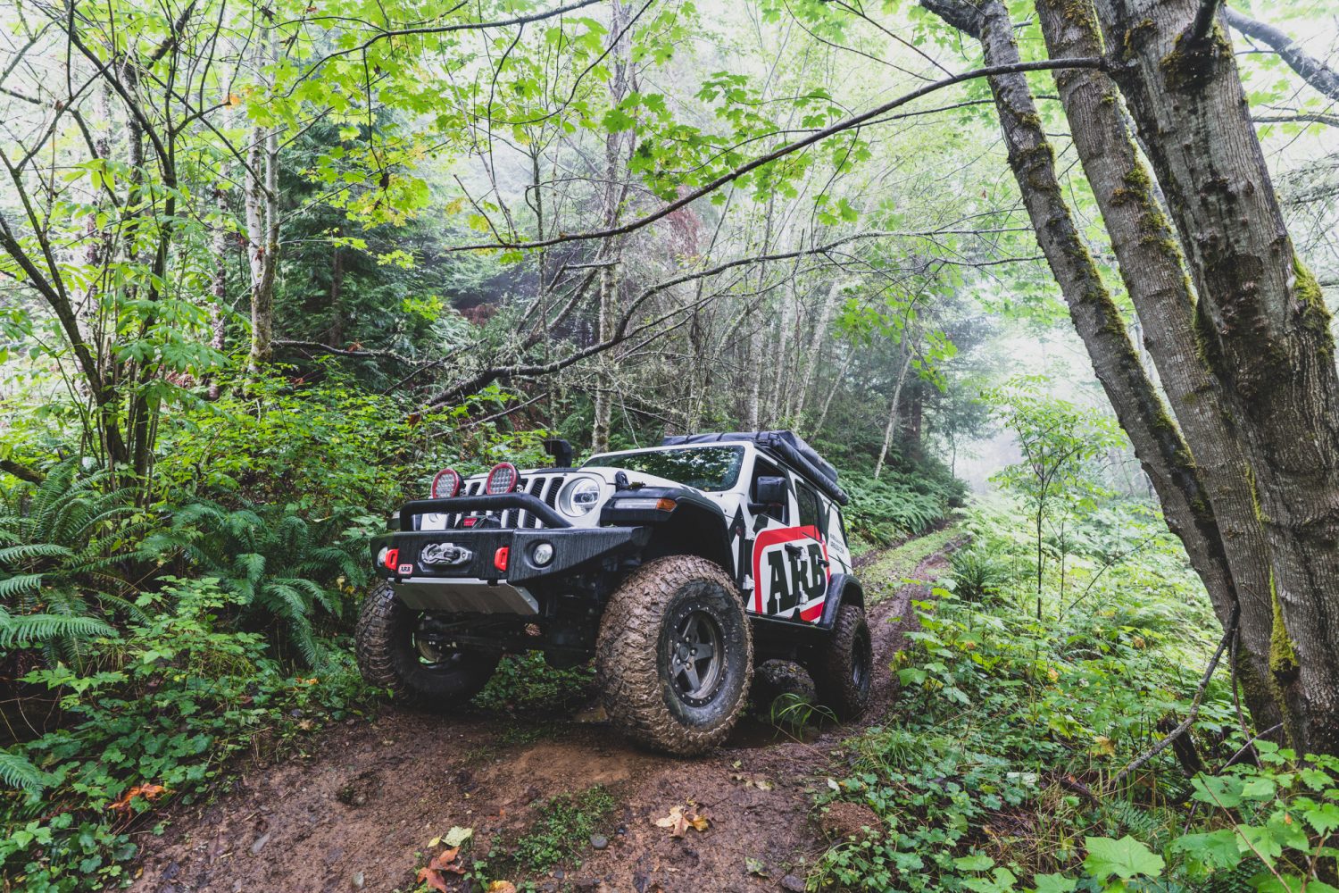 Overlanding The Olympic Peninsula - Expedition Portal