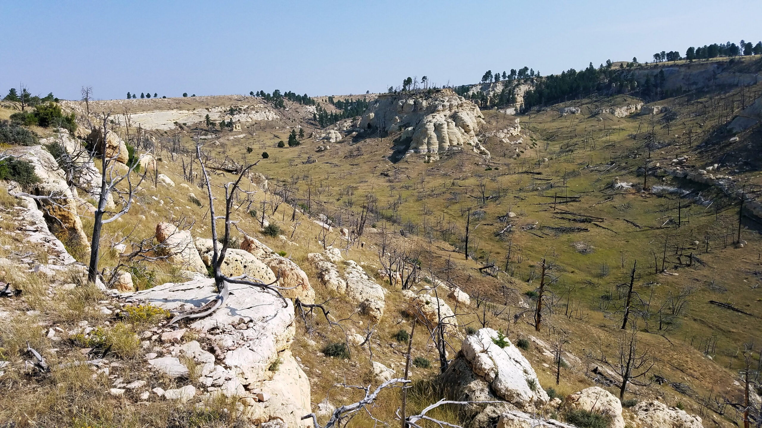 highlights along wyoming backcountry discovery route