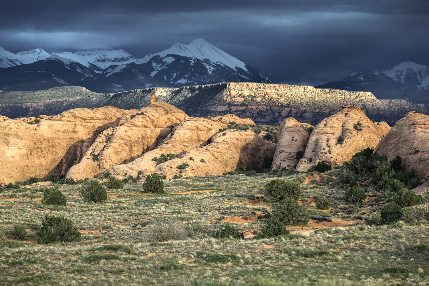 moab atv access