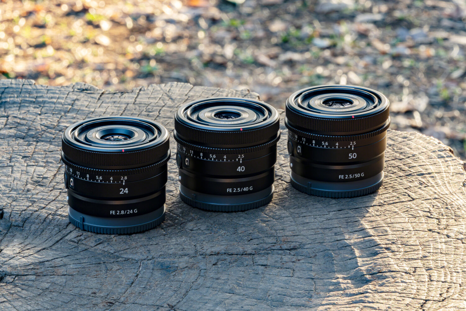 New Compact Sony Gseries Lenses 24, 40, and 50mm Focal Lengths