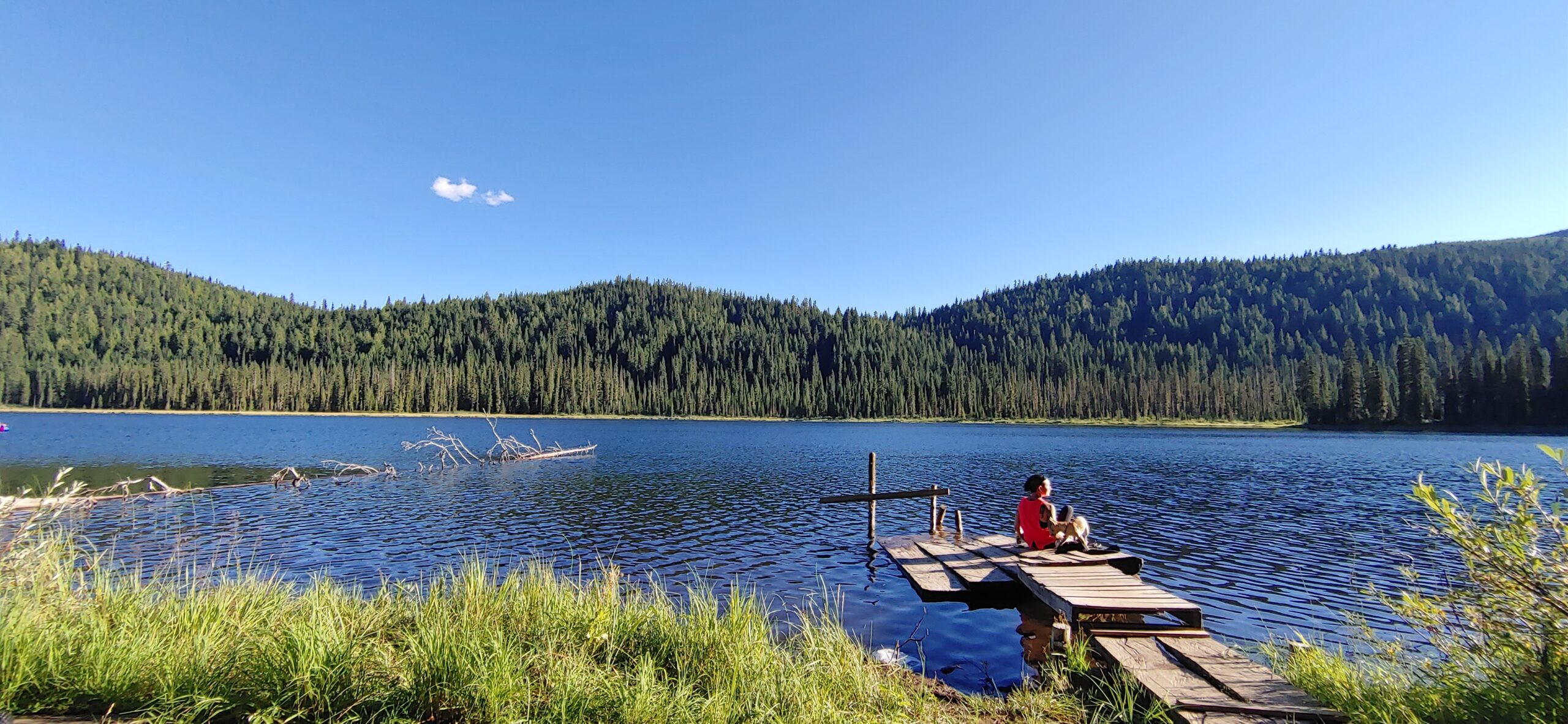 lake in the okanagan 