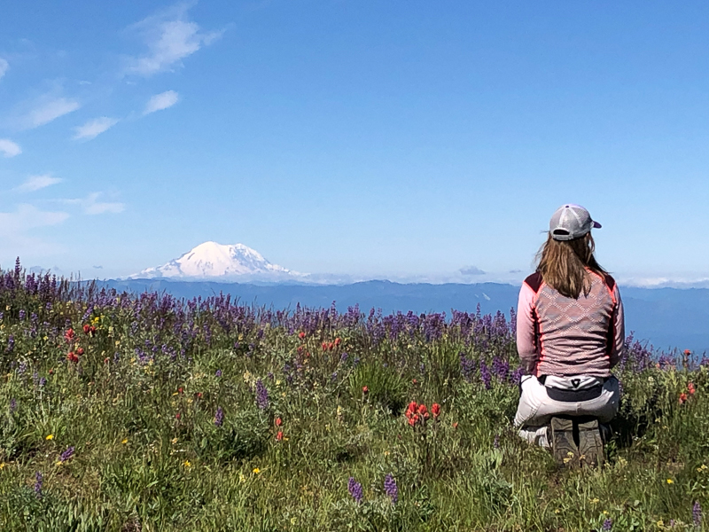 washington backcountry discovery route mount rainier