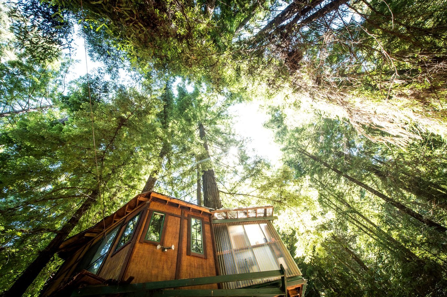 Destination Santa Cruz Glamping Treehouse Cabin Expedition Portal