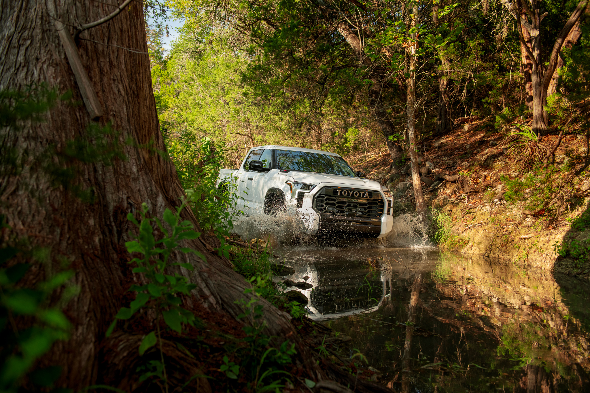 https://expeditionportal.com/media/2021/10/2022_Tundra_TRDPro_SuperWhite_001.jpg