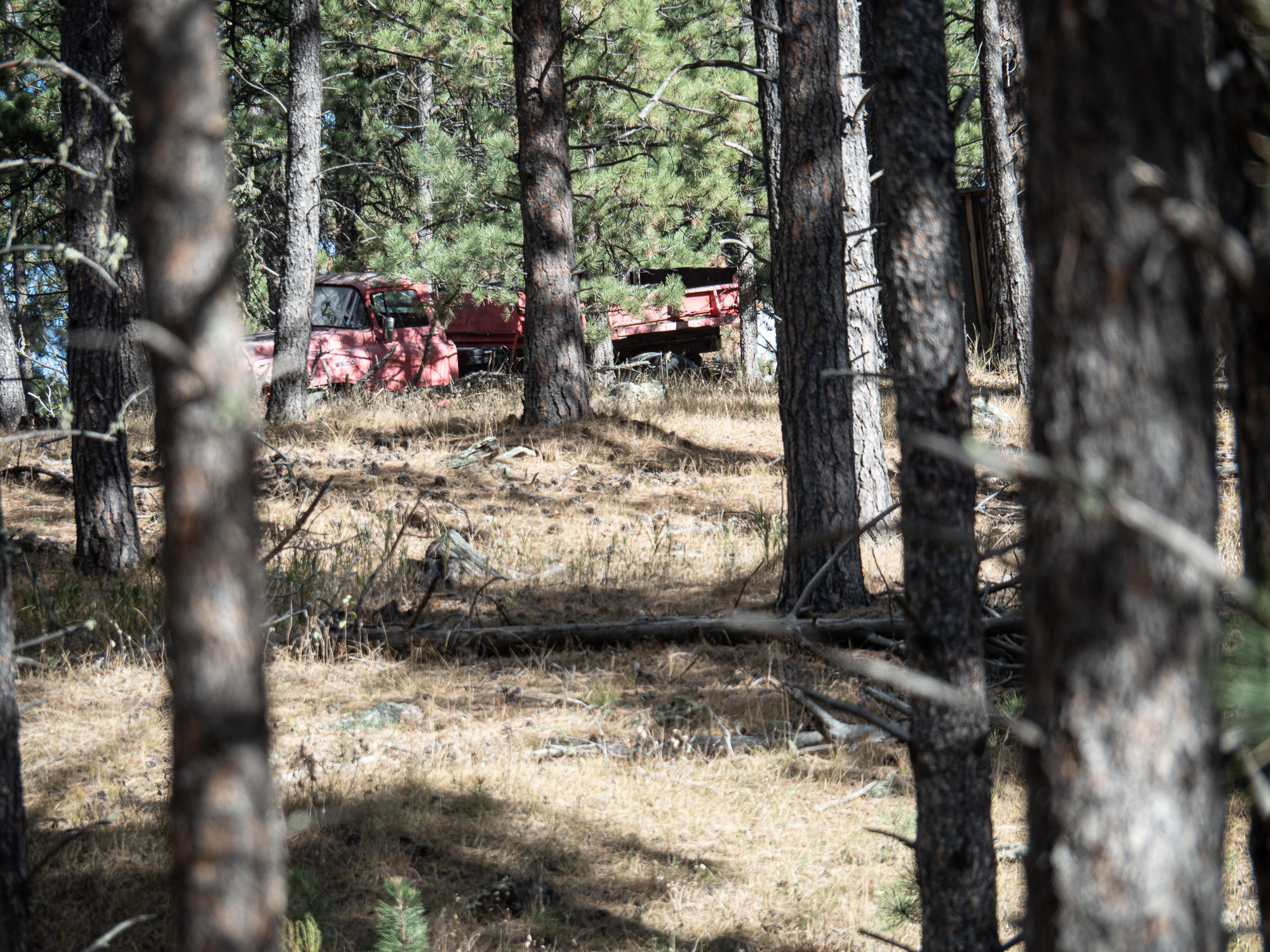 Custer south dakota old trucks