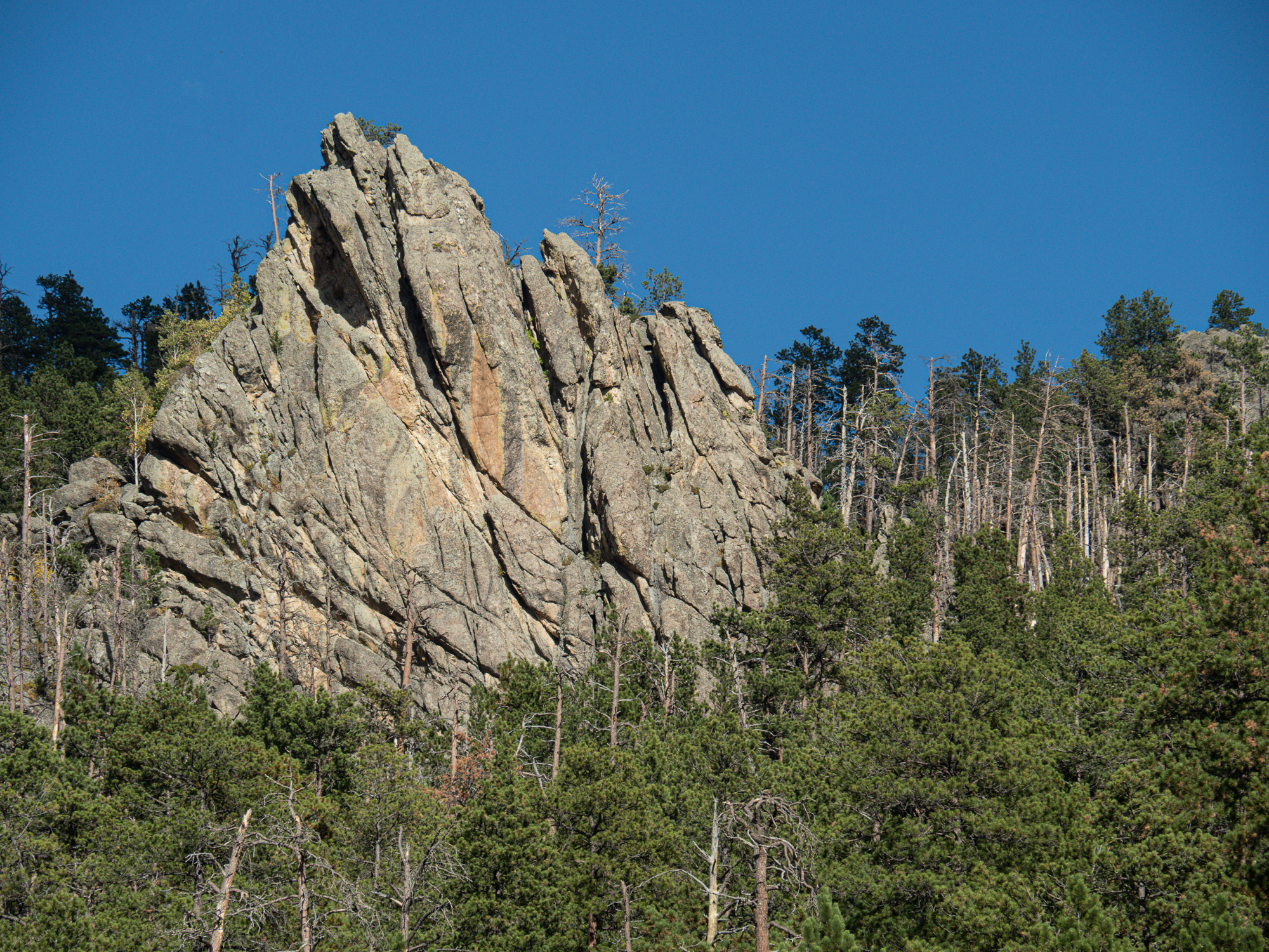 George Mickelson Trail