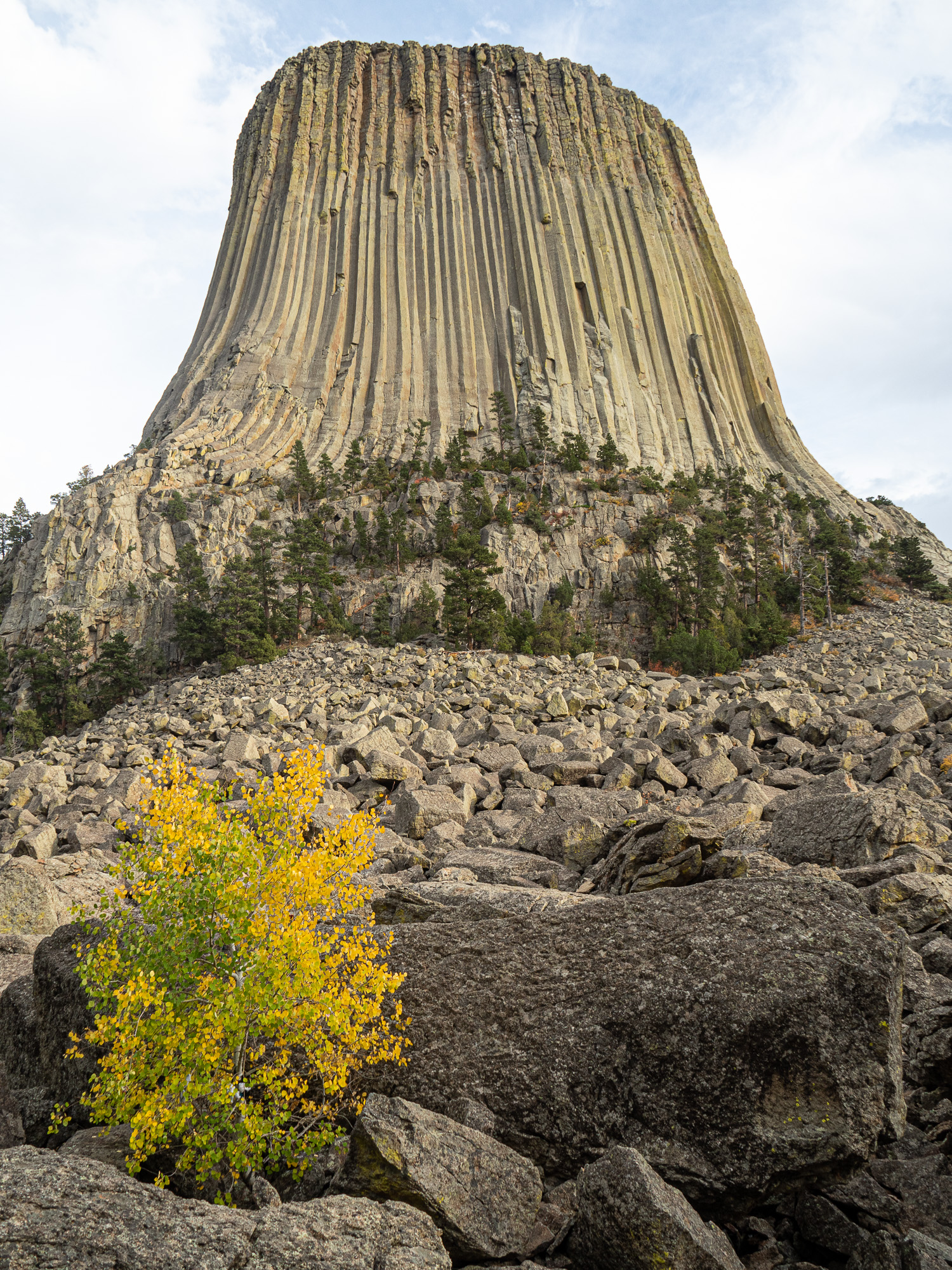 devil's tower national park