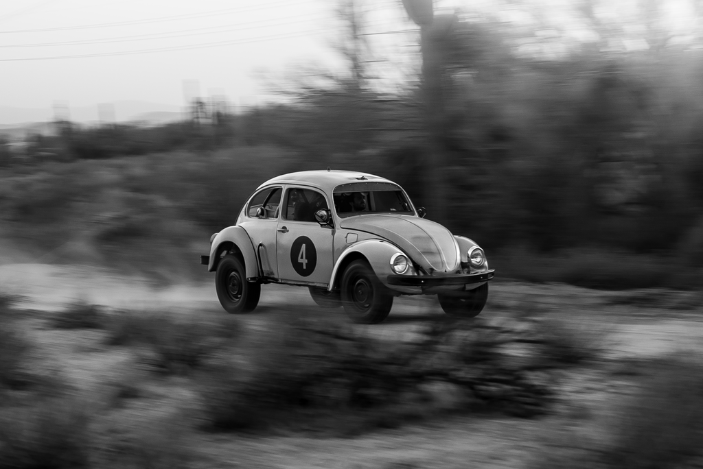 black and white type one bettle