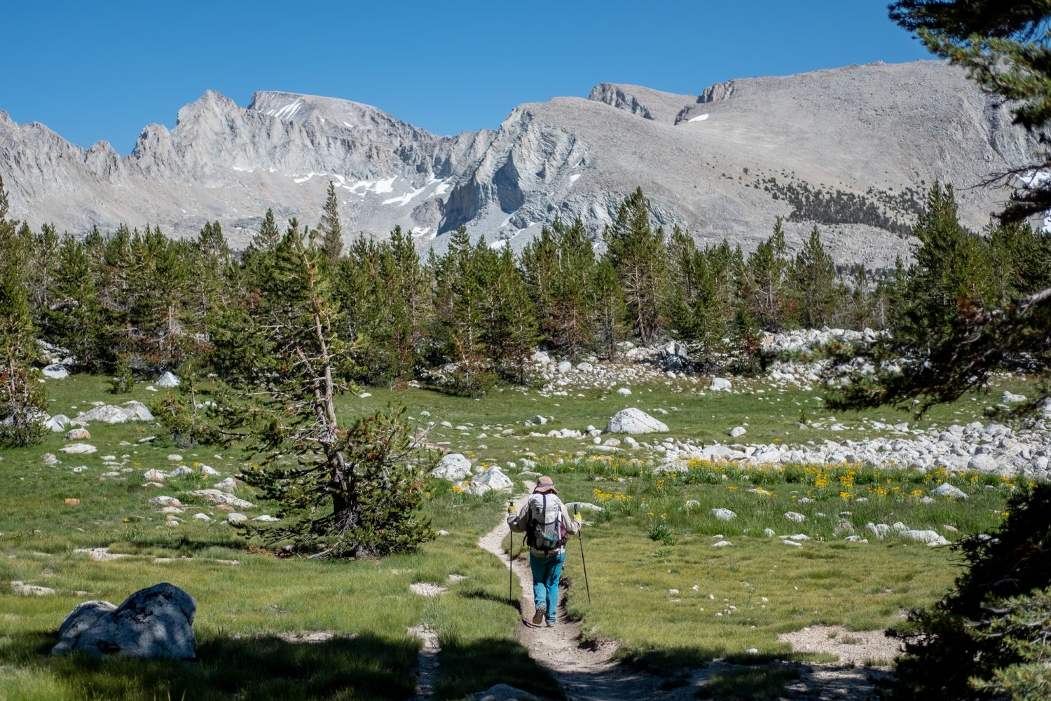 Sequoia National Forest: Sequoia National Park