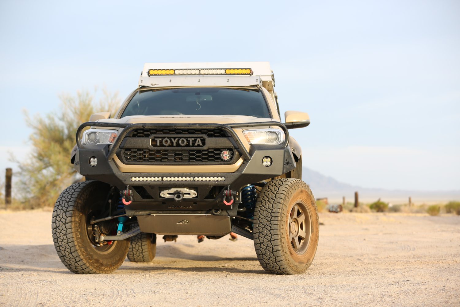 tacomas