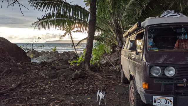 The Apocatron - 1986 Volkswagen T3 Syncro - Expedition Portal