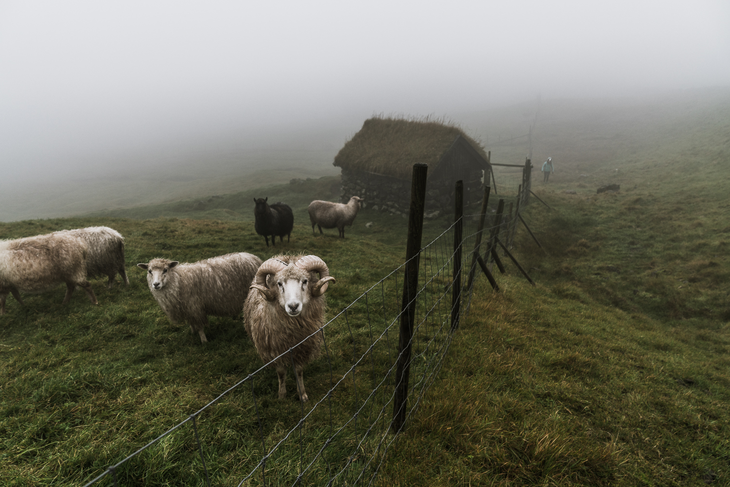 faroe islands