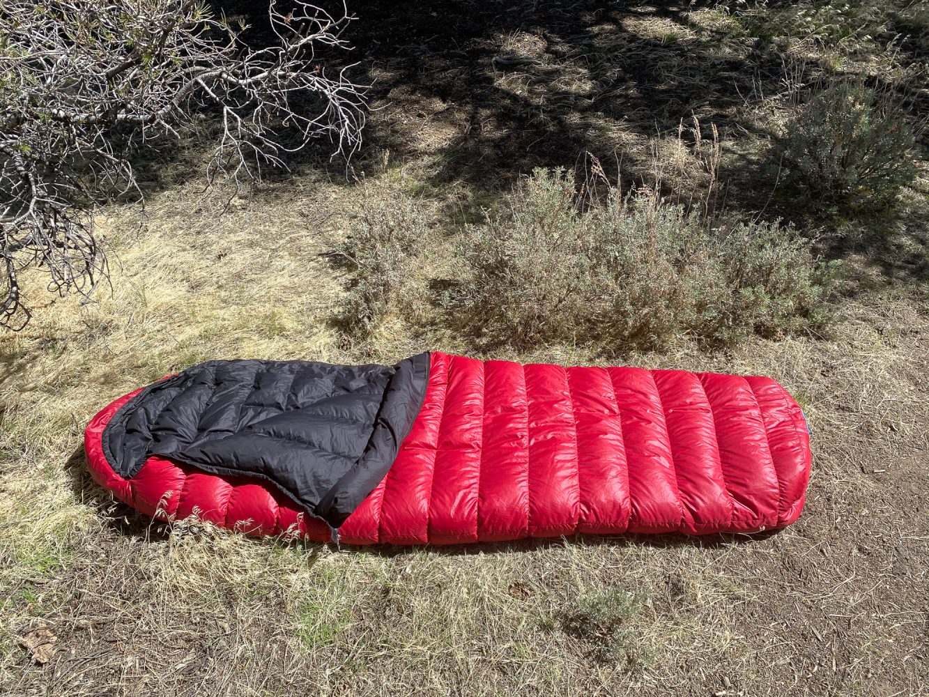 Western Mountaineering Sycamore MF Sleeping Bag - Expedition