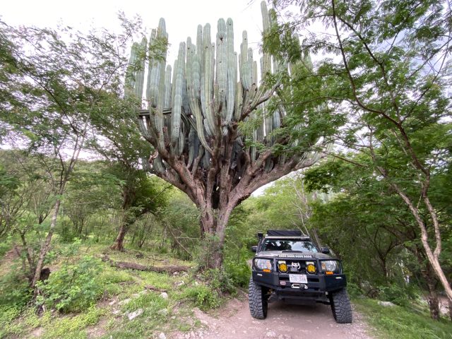 overlander mexico