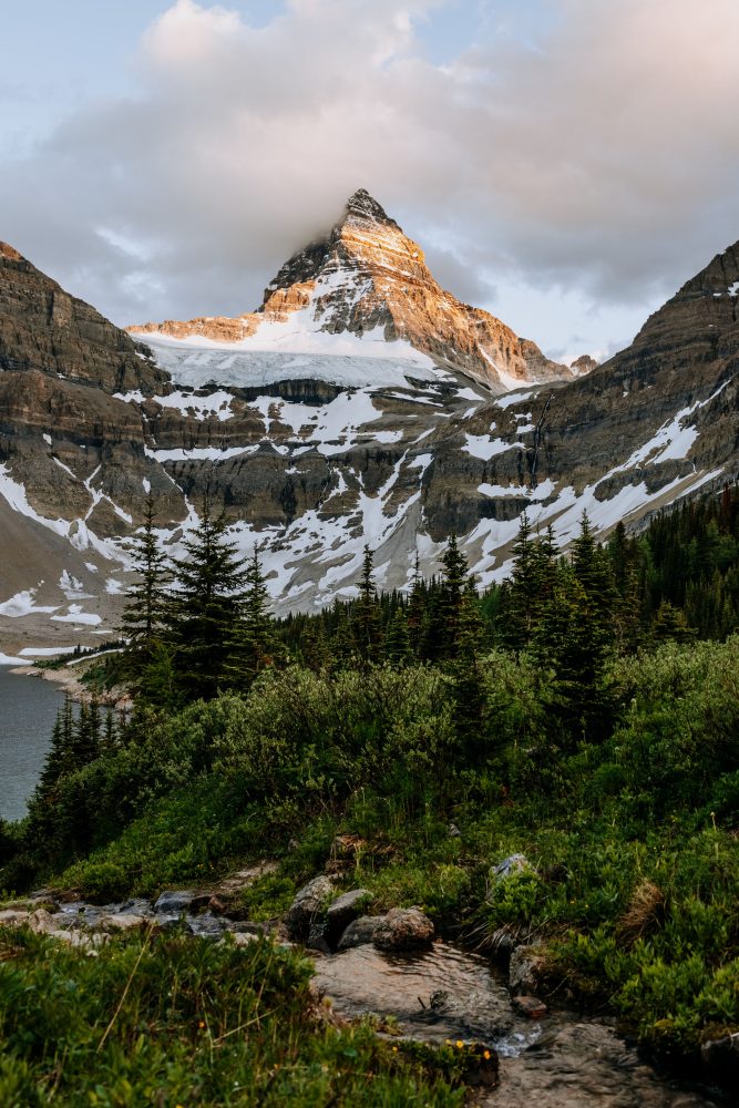 assiniboine